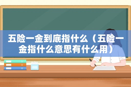 五險一金到底指什么（五險一金指什么意思有什么用）
