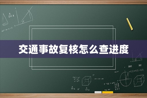 交通事故復核怎么查進度