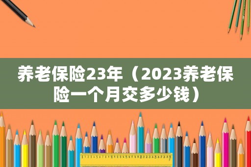 養老保險23年（2023養老保險一個月交多少錢）