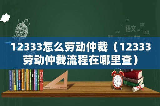 12333怎么勞動仲裁（12333勞動仲裁流程在哪里查）