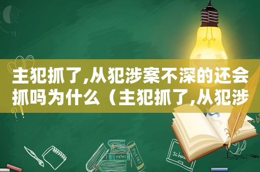 主犯抓了,從犯涉案不深的還會抓嗎為什么（主犯抓了,從犯涉案不深的還會抓嗎）
