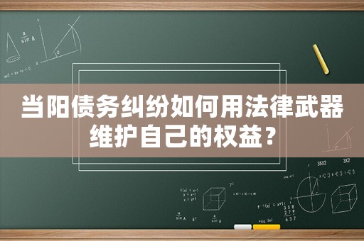 當陽債務糾紛如何用法律武器維護自己的權益？