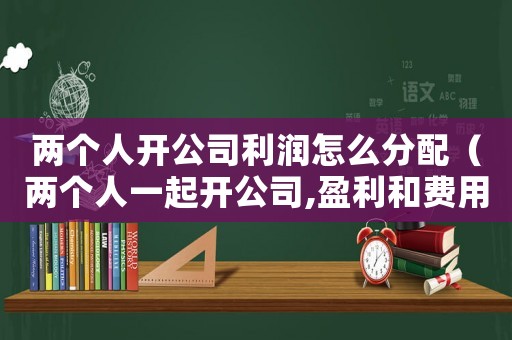 兩個人開公司利潤怎么分配（兩個人一起開公司,盈利和費用怎么算）