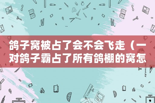 鴿子窩被占了會不會飛走（一對鴿子霸占了所有鴿棚的窩怎么處理）