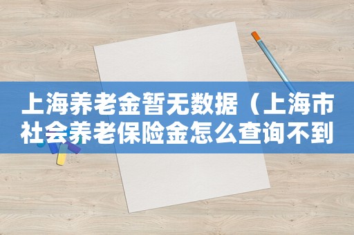 上海養老金暫無數據（上海市社會養老保險金怎么查詢不到）