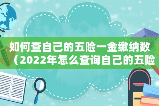 如何查自己的五險一金繳納數(shù)（2022年怎么查詢自己的五險一金）