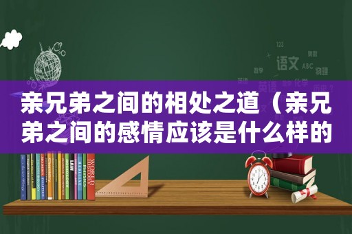 親兄弟之間的相處之道（親兄弟之間的感情應該是什么樣的）