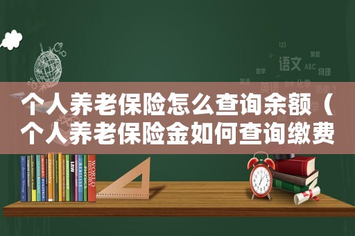 個人養(yǎng)老保險怎么查詢余額（個人養(yǎng)老保險金如何查詢繳費記錄）