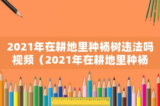 2021年在耕地里種楊樹違法嗎視頻（2021年在耕地里種楊樹違法嗎）