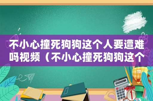 不小心撞死狗狗這個人要遭難嗎視頻（不小心撞死狗狗這個人要遭難嗎?）