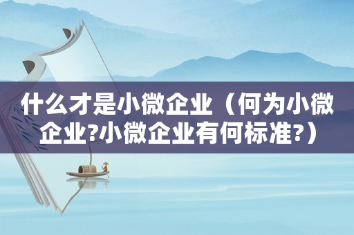 什么才是小微企業(yè)（何為小微企業(yè)?小微企業(yè)有何標準?）