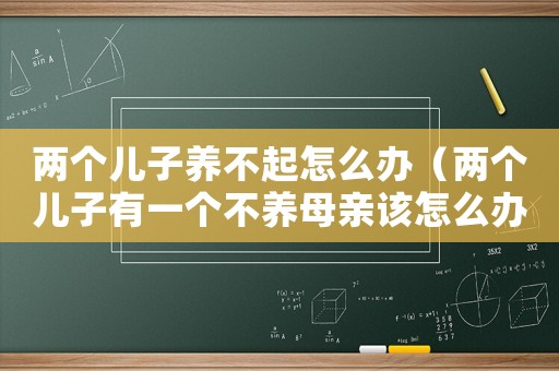 兩個兒子養不起怎么辦（兩個兒子有一個不養母親該怎么辦）