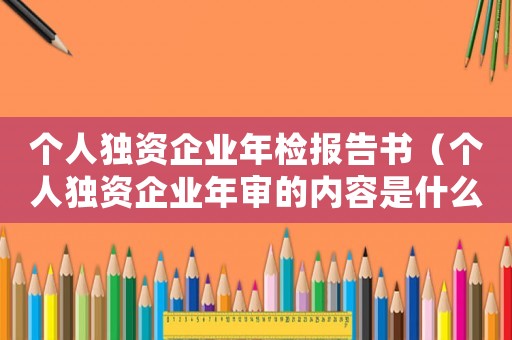 個人獨資企業年檢報告書（個人獨資企業年審的內容是什么意思）