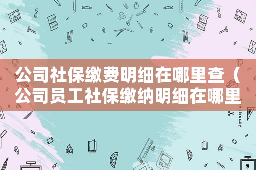 公司社保繳費明細在哪里查（公司員工社保繳納明細在哪里查詢）