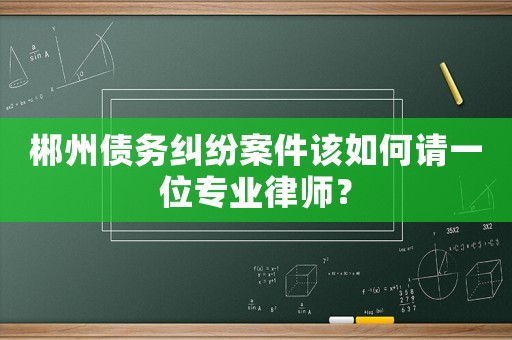 郴州債務糾紛案件該如何請一位專業律師？