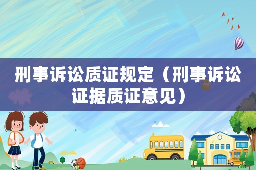 刑事訴訟質證規定（刑事訴訟證據質證意見）