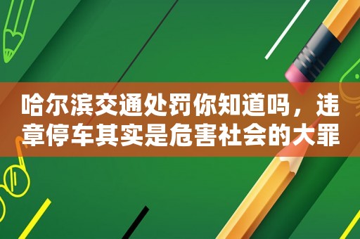 哈爾濱交通處罰你知道嗎，違章停車其實是危害社會的大罪犯