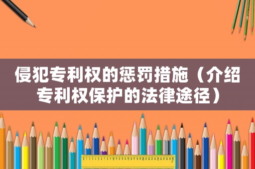 侵犯專利權的懲罰措施（介紹專利權保護的法律途徑）