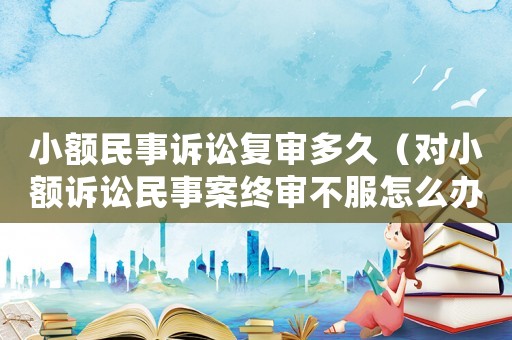 小額民事訴訟復審多久（對小額訴訟民事案終審不服怎么辦）