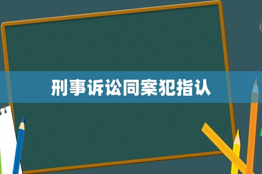 刑事訴訟同案犯指認