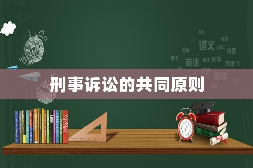 刑事訴訟的共同原則