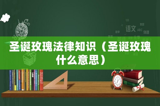圣誕玫瑰法律知識（圣誕玫瑰什么意思）