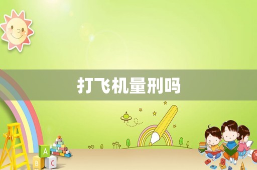 打飛機量刑嗎