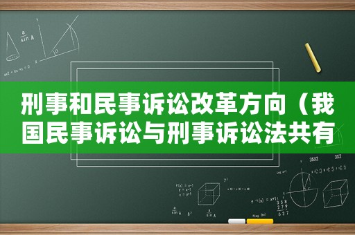刑事和民事訴訟改革方向（我國民事訴訟與刑事訴訟法共有的基本原則）
