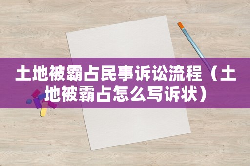 土地被霸占民事訴訟流程（土地被霸占怎么寫訴狀）