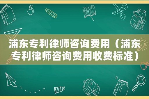 浦東專利律師咨詢費用（浦東專利律師咨詢費用收費標準）
