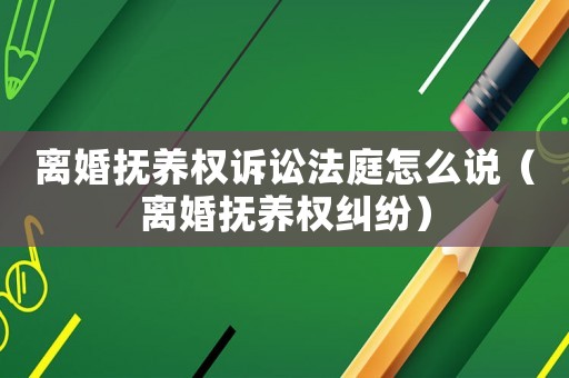 離婚撫養(yǎng)權(quán)訴訟法庭怎么說（離婚撫養(yǎng)權(quán)糾紛）