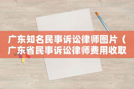 廣東知名民事訴訟律師圖片（廣東省民事訴訟律師費用收取標準）