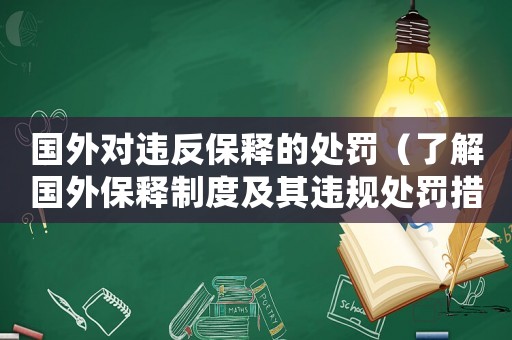 國外對違反保釋的處罰（了解國外保釋制度及其違規處罰措施）