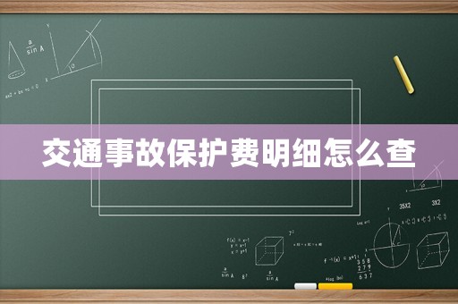 交通事故保護費明細怎么查