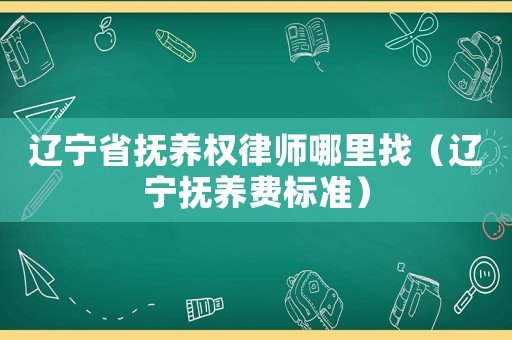 遼寧省撫養(yǎng)權(quán)律師哪里找（遼寧撫養(yǎng)費(fèi)標(biāo)準(zhǔn)）