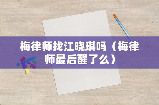 梅律師找江曉琪嗎（梅律師最后醒了么）