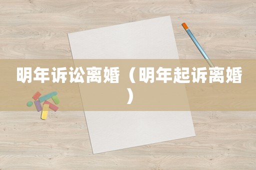 明年訴訟離婚（明年起訴離婚）