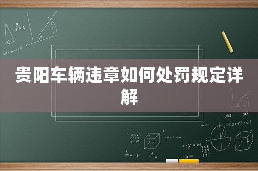 貴陽車輛違章如何處罰規定詳解