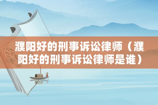 濮陽好的刑事訴訟律師（濮陽好的刑事訴訟律師是誰）