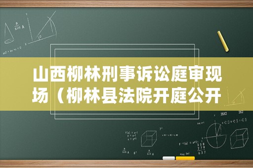 山西柳林刑事訴訟庭審現場（柳林縣法院開庭公開網）
