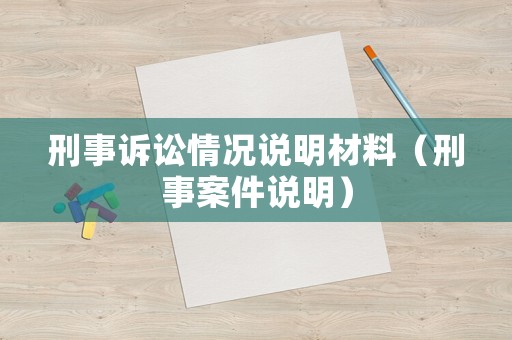 刑事訴訟情況說明材料（刑事案件說明）