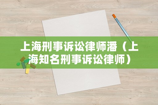 上海刑事訴訟律師潘（上海知名刑事訴訟律師）