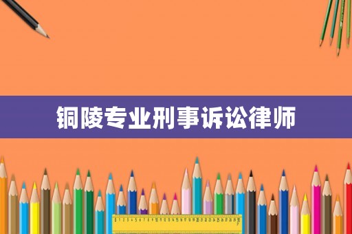 銅陵專業(yè)刑事訴訟律師