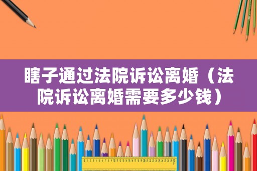 瞎子通過法院訴訟離婚（法院訴訟離婚需要多少錢）