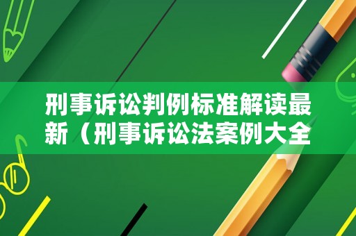 刑事訴訟判例標準解讀最新（刑事訴訟法案例大全）