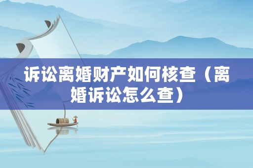 訴訟離婚財產(chǎn)如何核查（離婚訴訟怎么查）