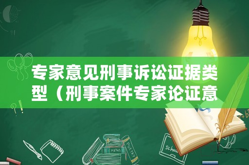 專家意見刑事訴訟證據類型（刑事案件專家論證意見）