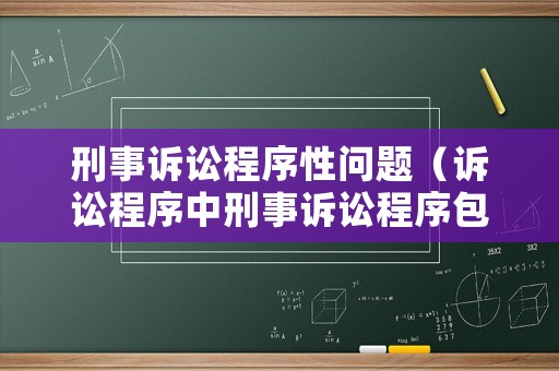 刑事訴訟程序性問題（訴訟程序中刑事訴訟程序包括）