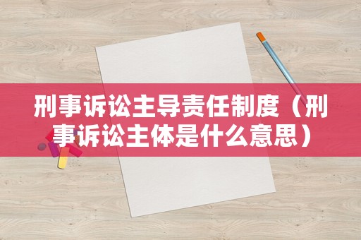 刑事訴訟主導責任制度（刑事訴訟主體是什么意思）