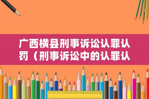 廣西橫縣刑事訴訟認(rèn)罪認(rèn)罰（刑事訴訟中的認(rèn)罪認(rèn)罰制度）